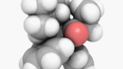 methadone information sheet Washington PA
