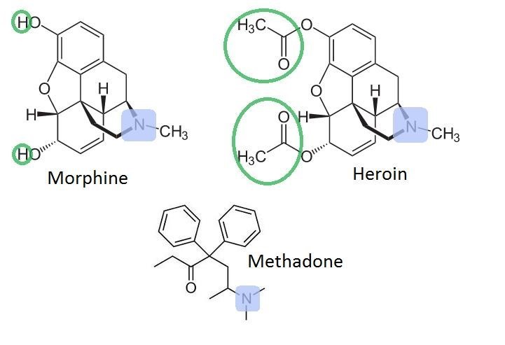 methadone pharmacology Dunedin FL