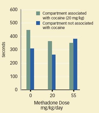 methadone maintenance clinic Gaffney SC