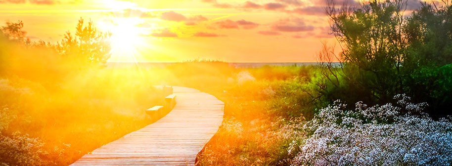 find a methadone clinic Grosse Pointe Park MI
