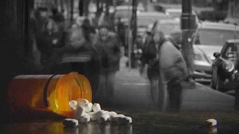 the drug methadone Allen Park MI